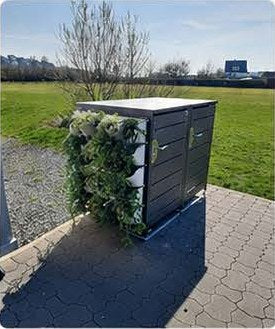Make it GREEN Seitenbepflanzung fertig bepflanzt an einer HALABOX