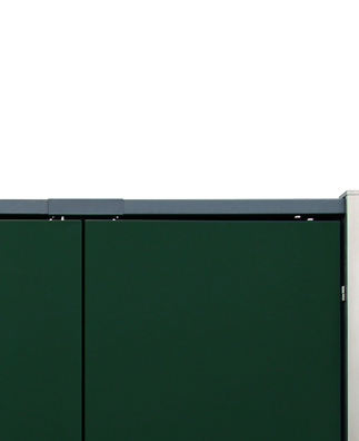 Tür RAL 6005