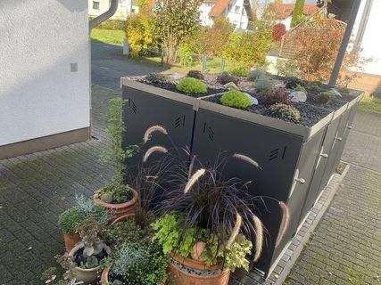 Acht HALABOX Kompakt 240 mit Pflanzwannen in DB703 Feinstruktur