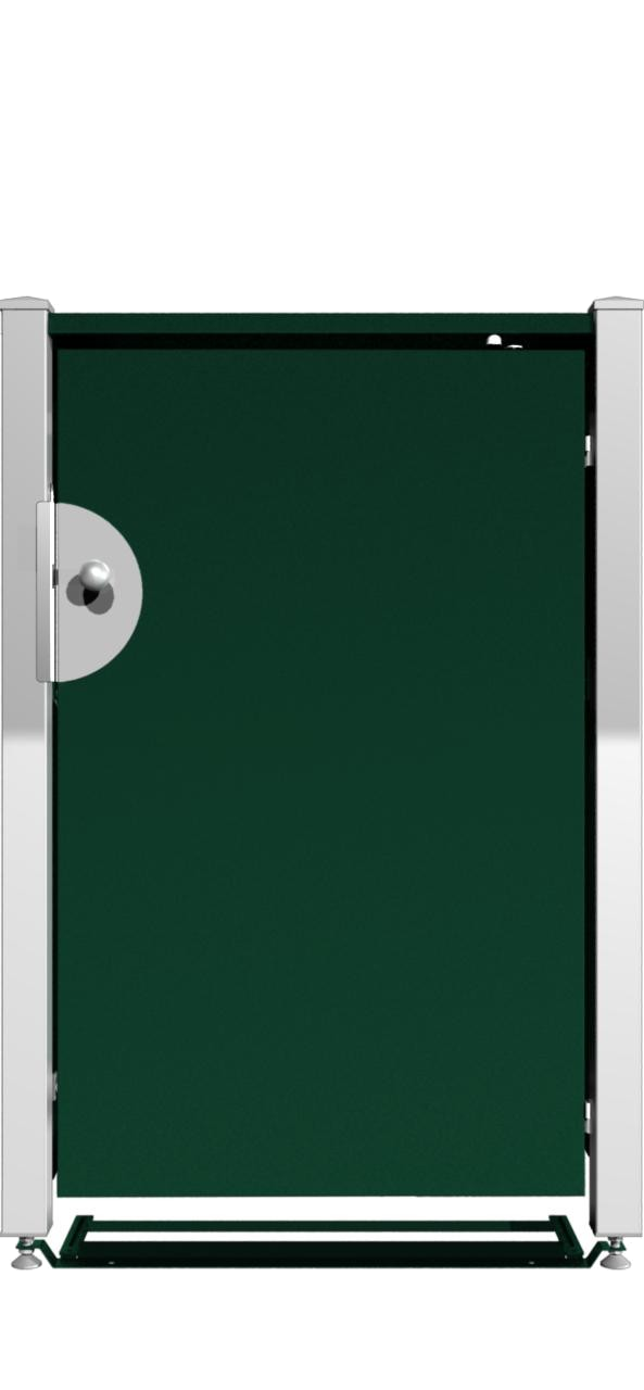 Tür RAL 6005